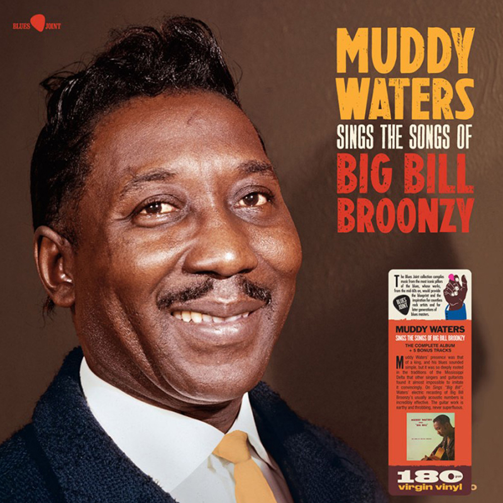 Muddy Waters Sings The Songs Of Big Bill Broonzy